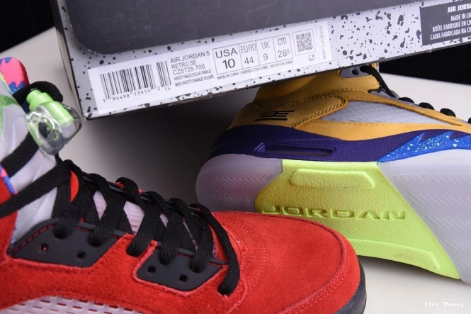 Kick Theory Jordan The 5 CZ5725-700 Retro What 0709
